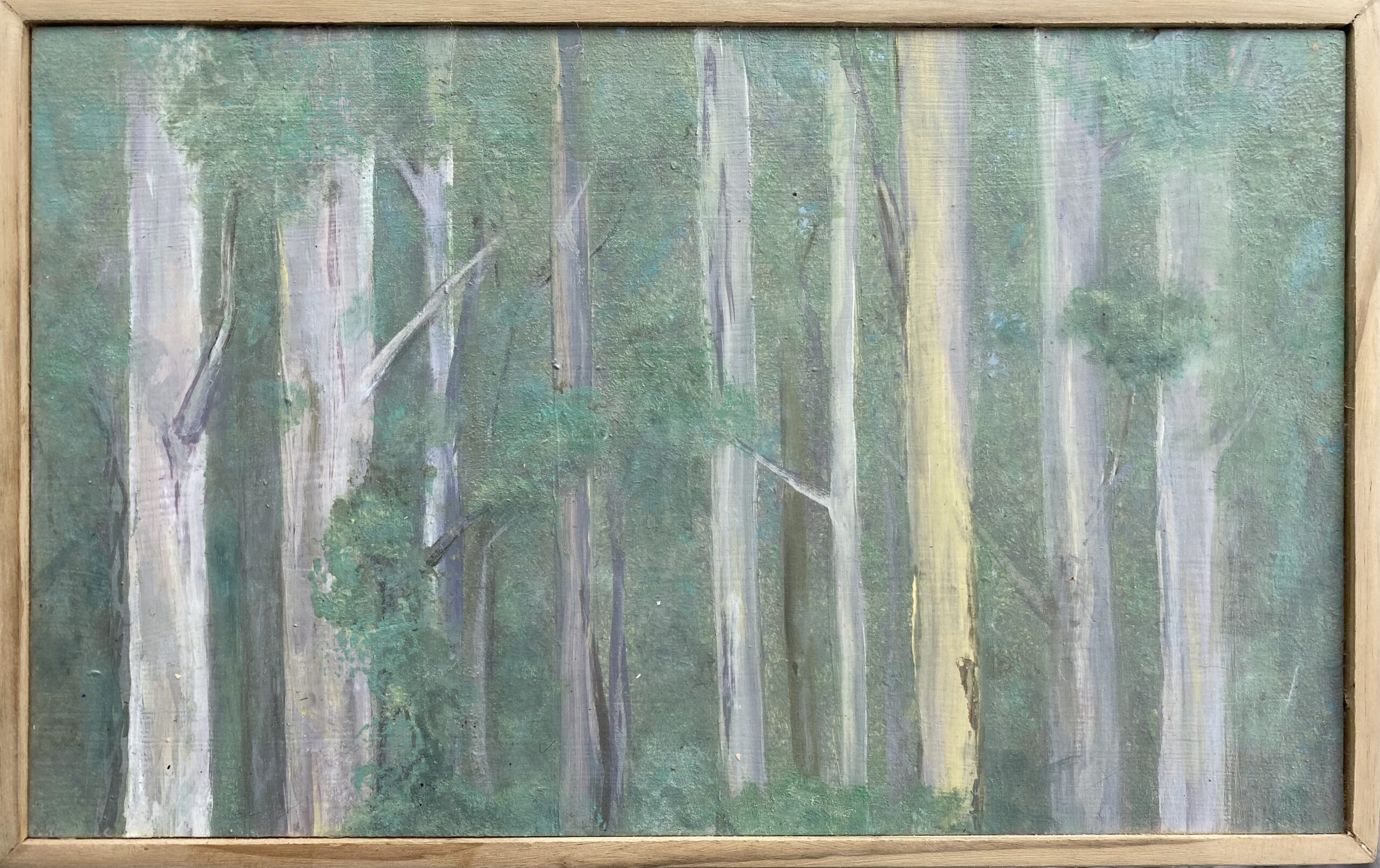 Stromlo Afternoon Trees : 46cm x 29cm : acrylic on board : 2023 : $1200