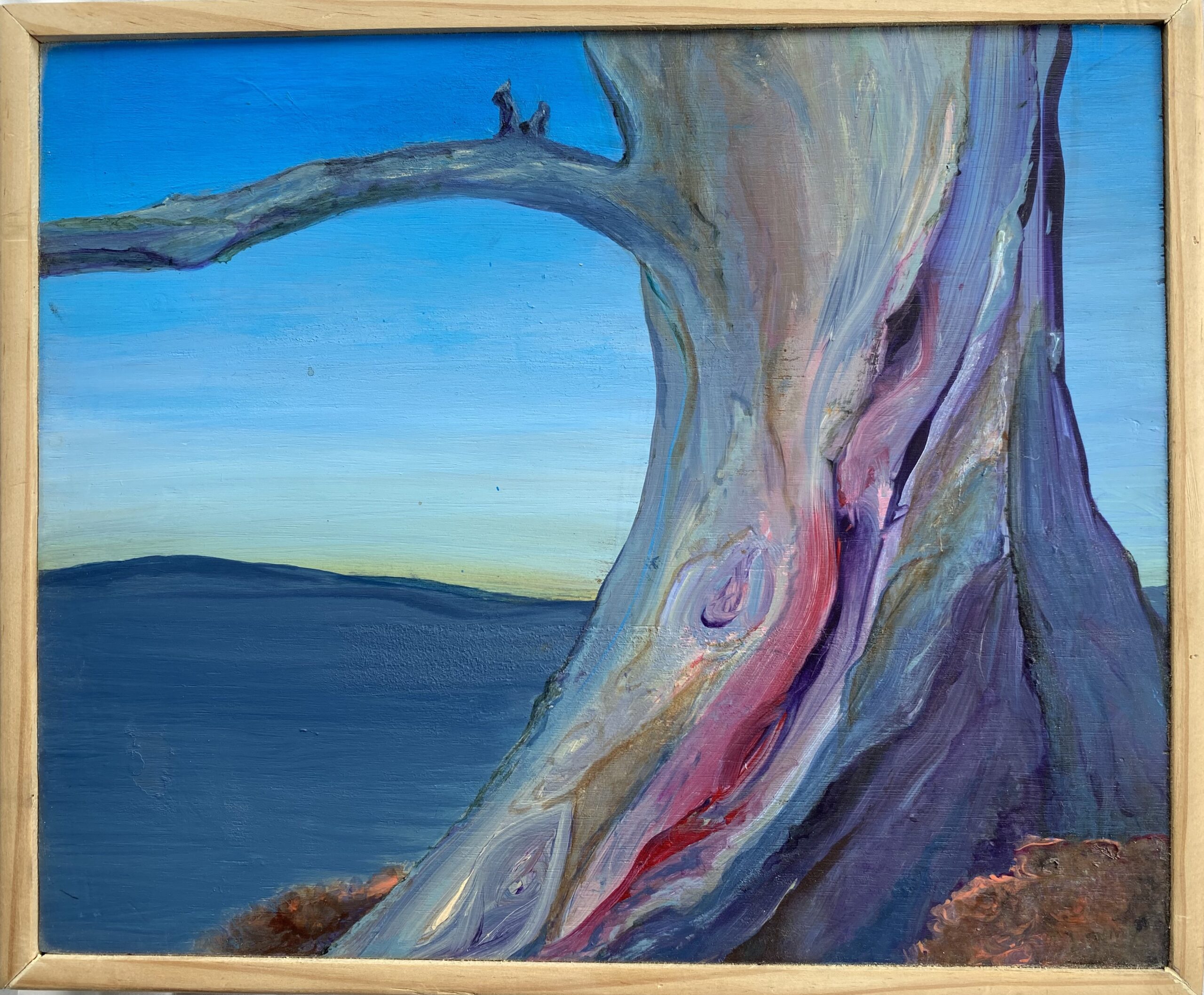 Eucalypt On Mt. Stromlo : 30cm x 26cm : acrylic on board : 2023 : $650