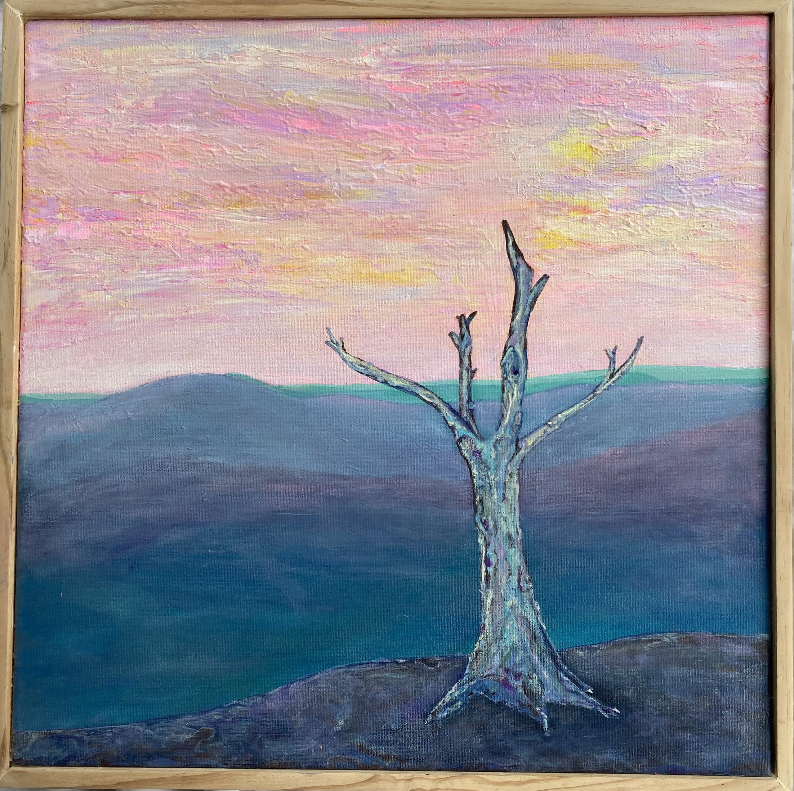 Stromlo Overview : 49cm x 48cm  : acrylic on canvas : 2023 : $1800