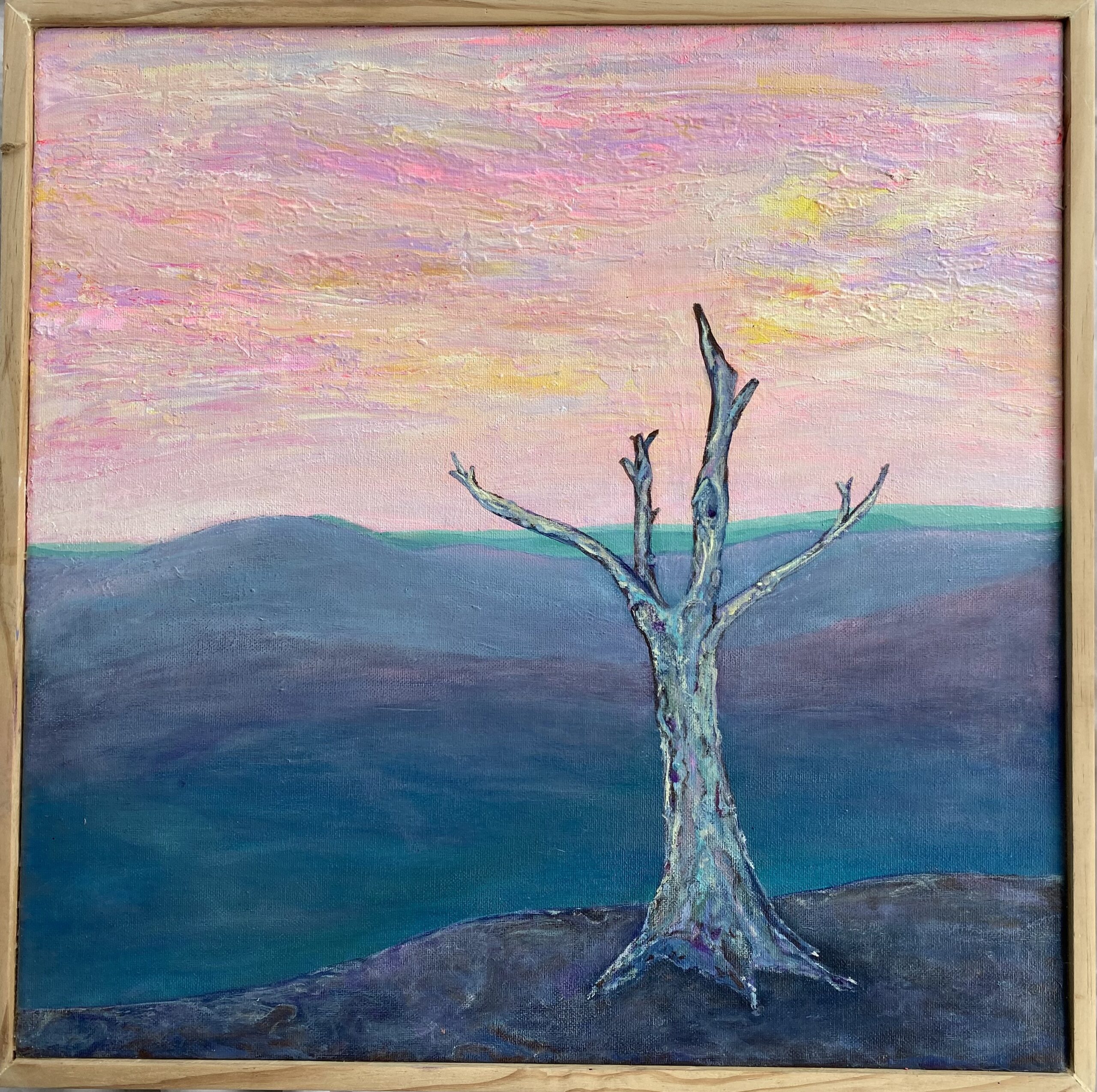 Sierra Overview : 49cm x 48cm  : acrylic on canvas : $1800