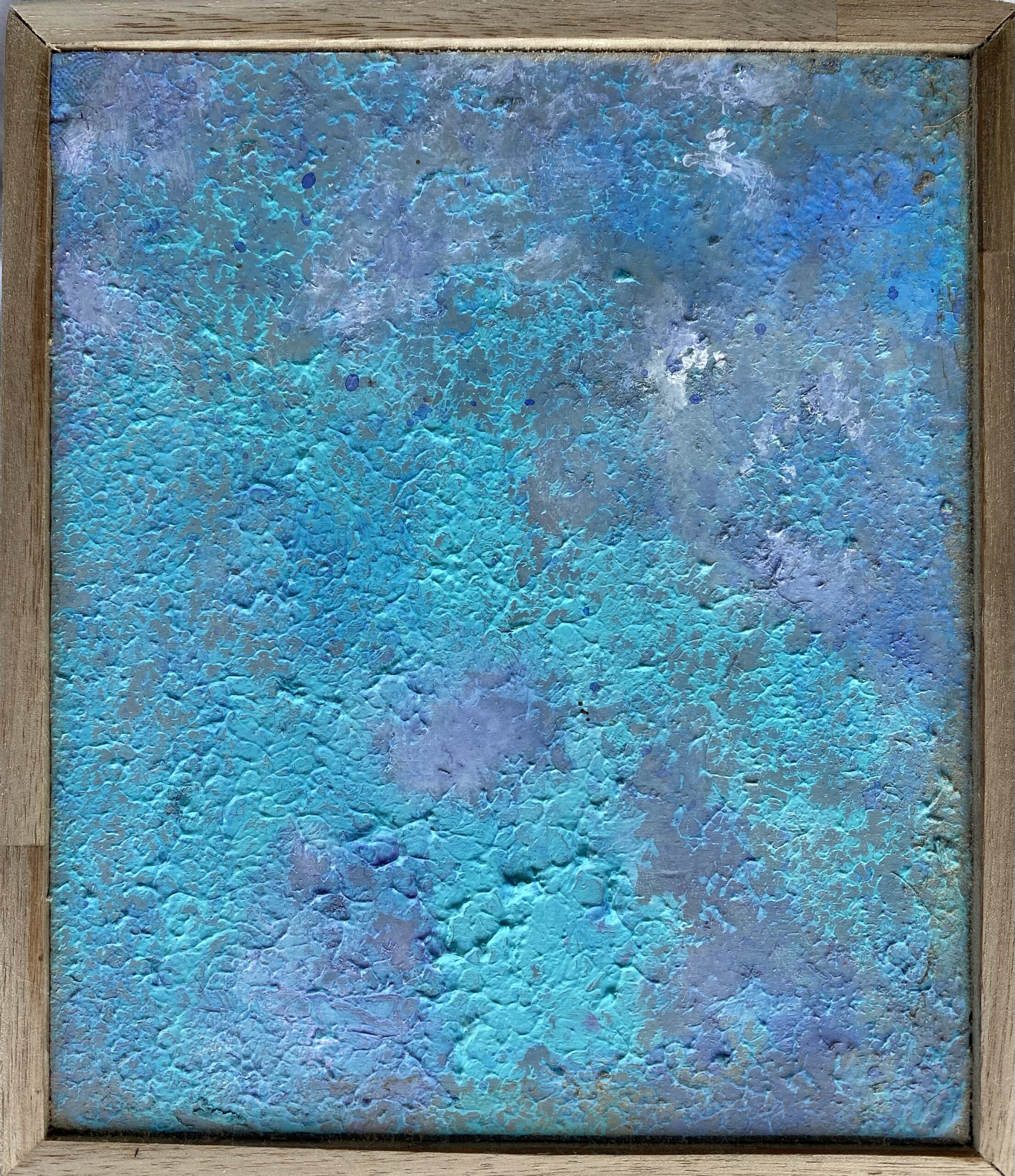 Shell Skin : 17cm x 20cm : acrylic on board : $250